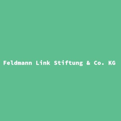 Hersteller: Feldmann Link Stiftung &amp; Co. KG