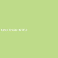 Kühne Bronze-Brille