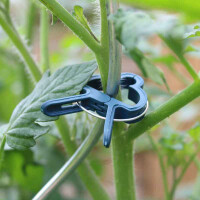 Plantenclips voor klimplanten 3
