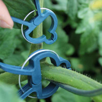 Plantenclips voor klimplanten 4