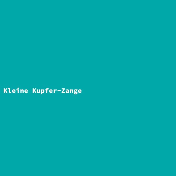 Kleine Kupfer-Zange