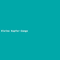 Kleine Kupfer-Zange