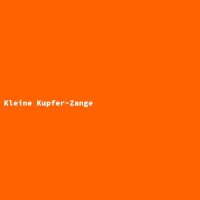 Kleine Kupfer-Zange