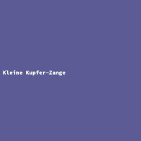 Kleine Kupfer-Zange