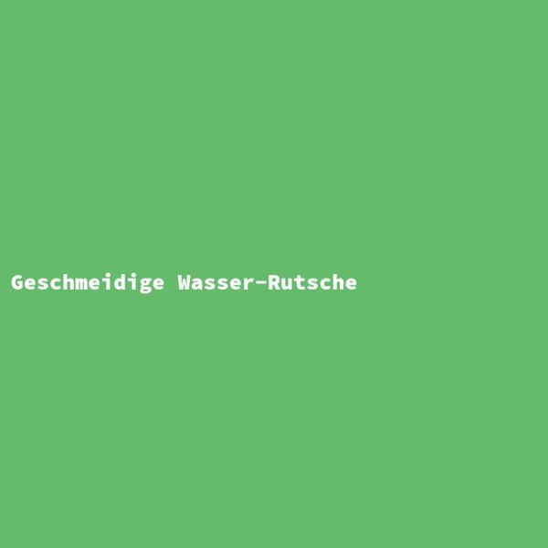 Geschmeidige Wasser-Rutsche