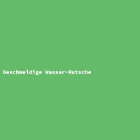 Geschmeidige Wasser-Rutsche