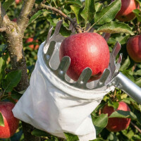 Fruitplukker 5