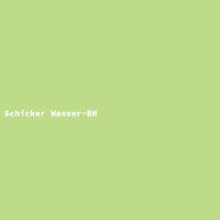 Schicker Wasser-BH