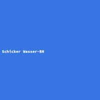Schicker Wasser-BH